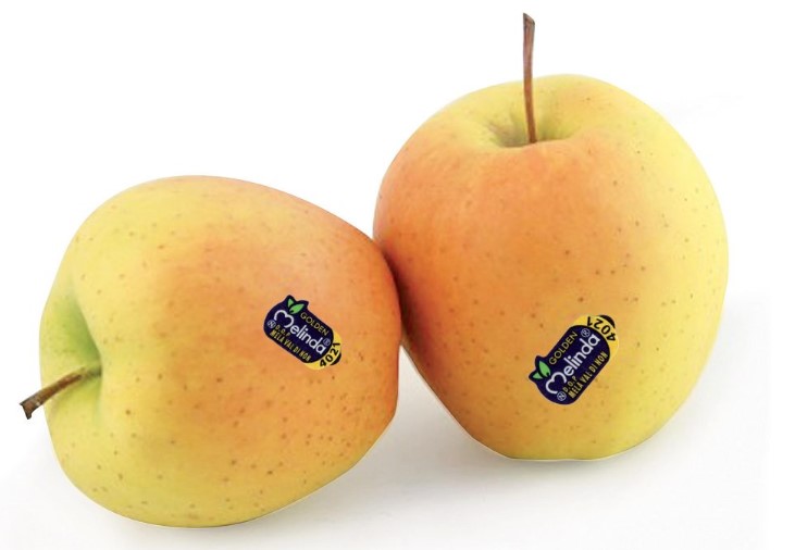 MELE GOLDEN MELINDA 70/75 AL KG.