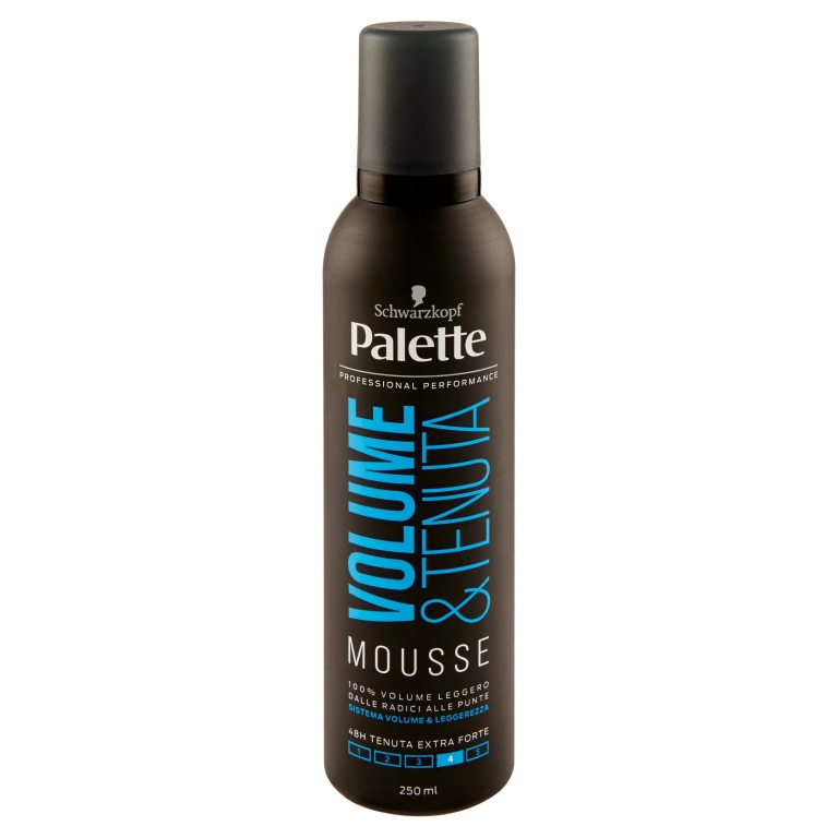 PALETTE VOLUME & TENUTA MOUSSE 250 ML