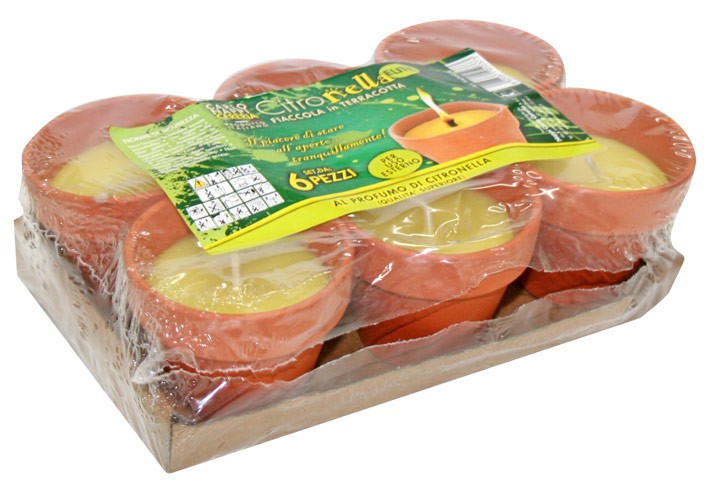 CITRONELLA VASI TERRACOTTA PEZZI 6 D.7,5