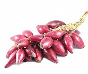 CIPOLLA TRECCIA AL KG.