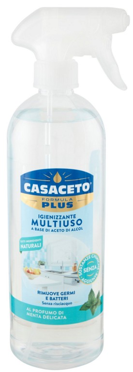 CASACETO MULTIUSO SPRAY MENTA ML750               