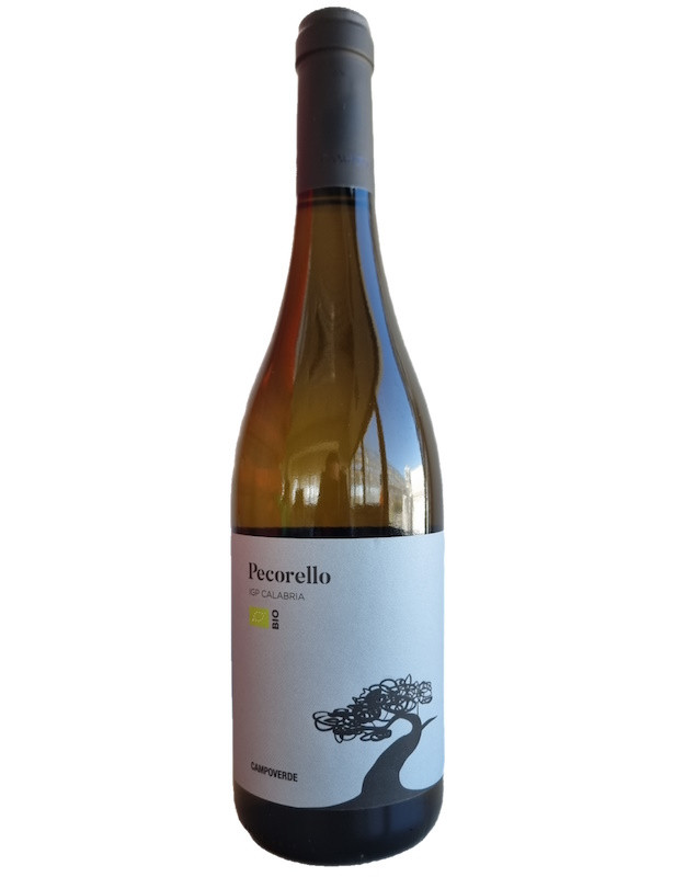 VINO CAMPOVERDE PECORELLO B.CO CL75 IGP 2024      