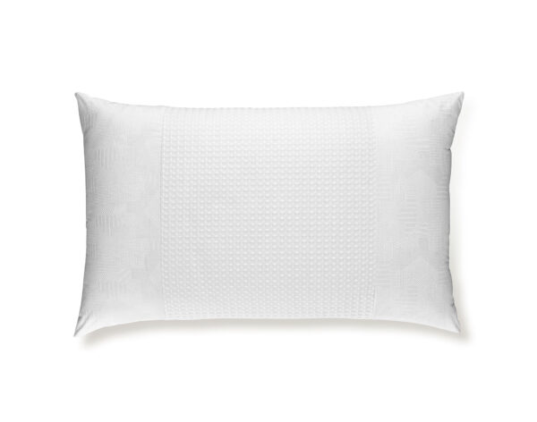 CUSCINO ORTOPEDICO FABE P2024