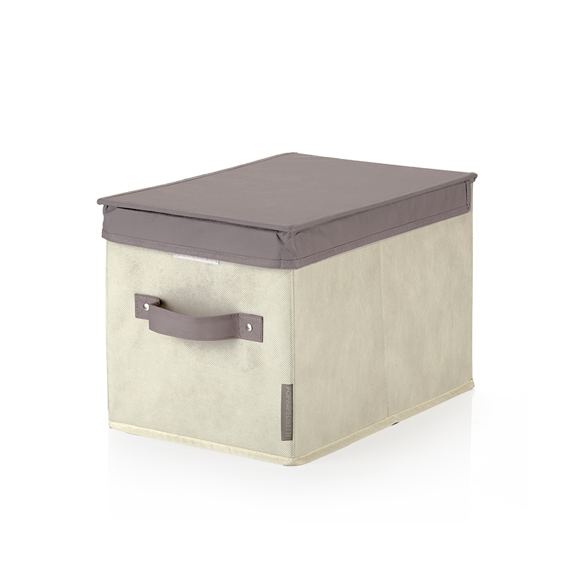 SCATOLA PORTATUTTO PICCOLA FOPPAPEDRETTI P2025    