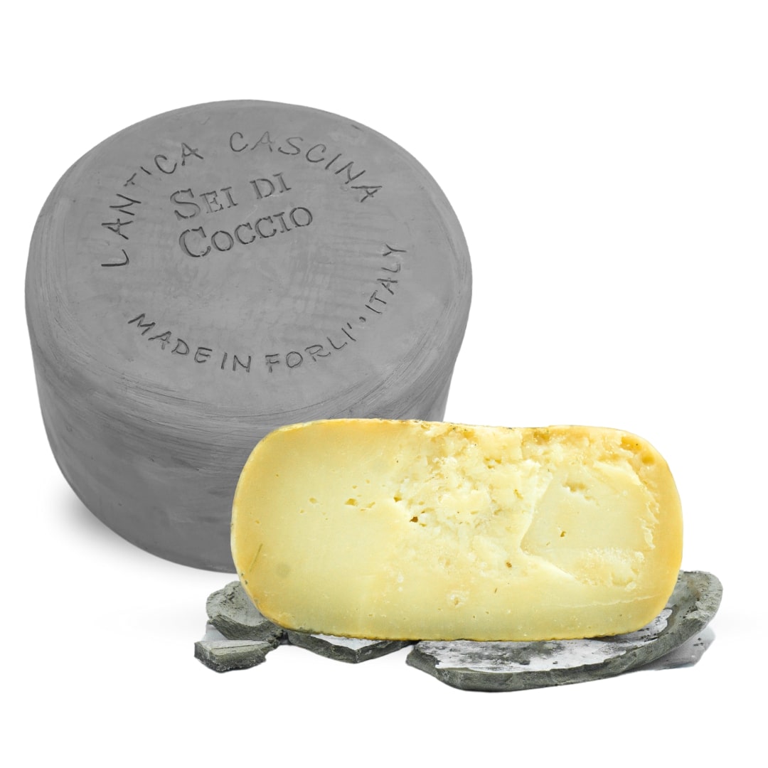 FORM.SEI DI COCCIO ANTICA CASCINA