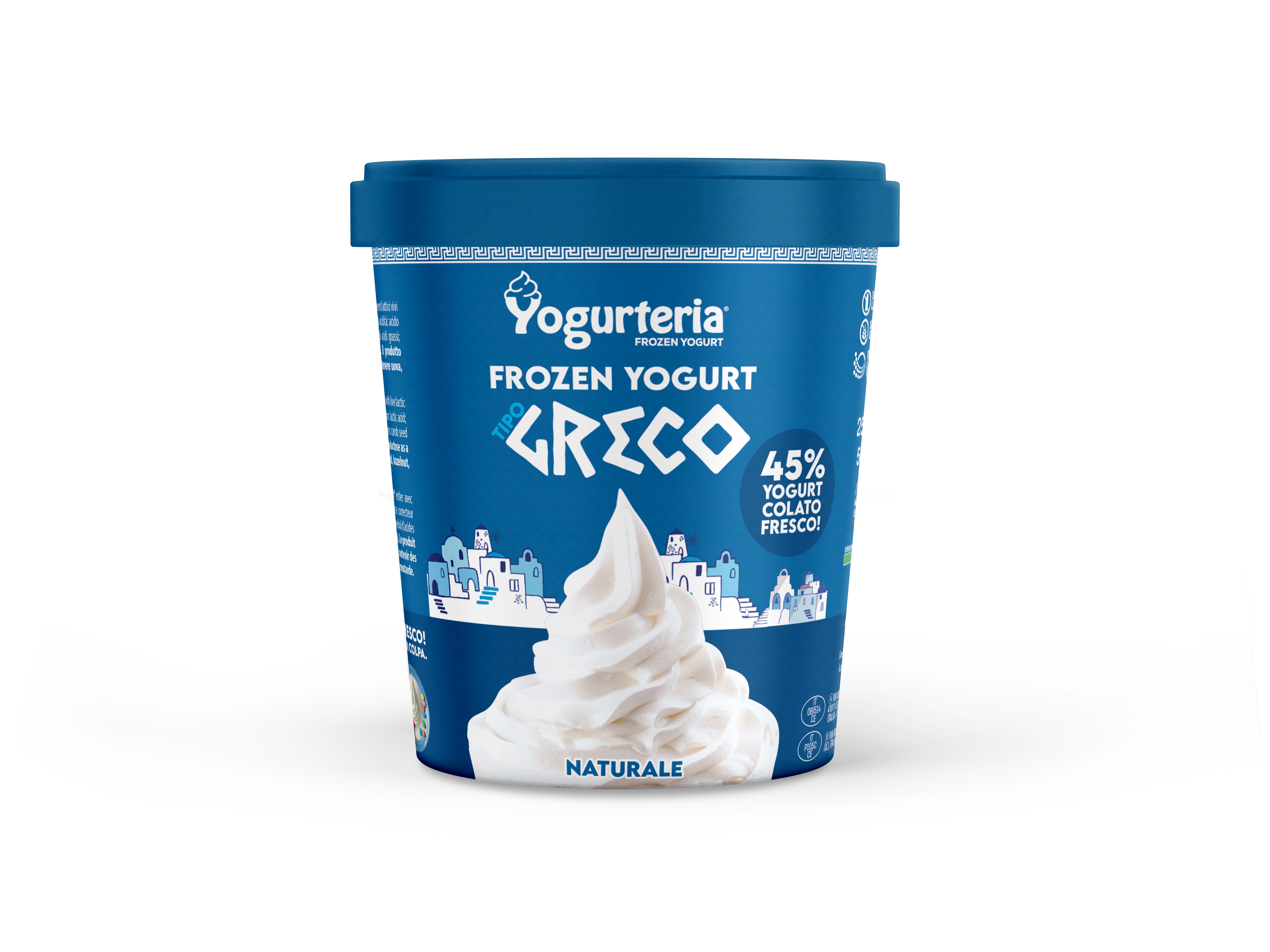 YOGURT GRECO NATURALE GELATO YOGURTERIA G250      