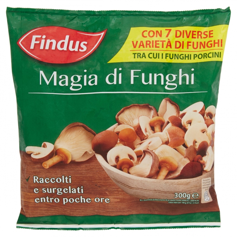 FINDUS MAGIA DI FUNGHI 300 G