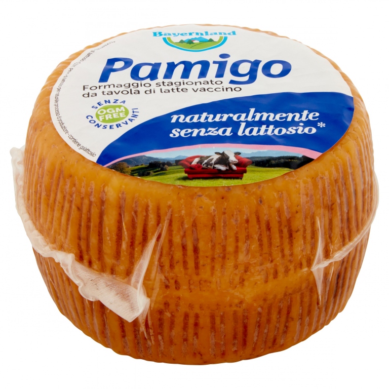 FORM.PAMIGO RIGATO S/V BAYERNLAND AL KG.