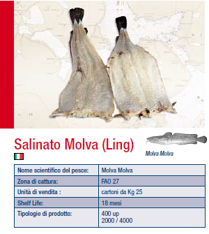 SALINATO MOLVA LING 4000UP KG.25 MOLVA MOLVA